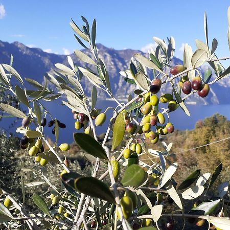 Appartamento Leccino Μαλτσεζίνε Εξωτερικό φωτογραφία