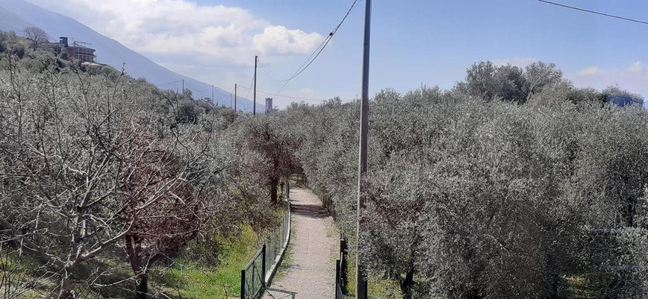 Appartamento Leccino Μαλτσεζίνε Εξωτερικό φωτογραφία